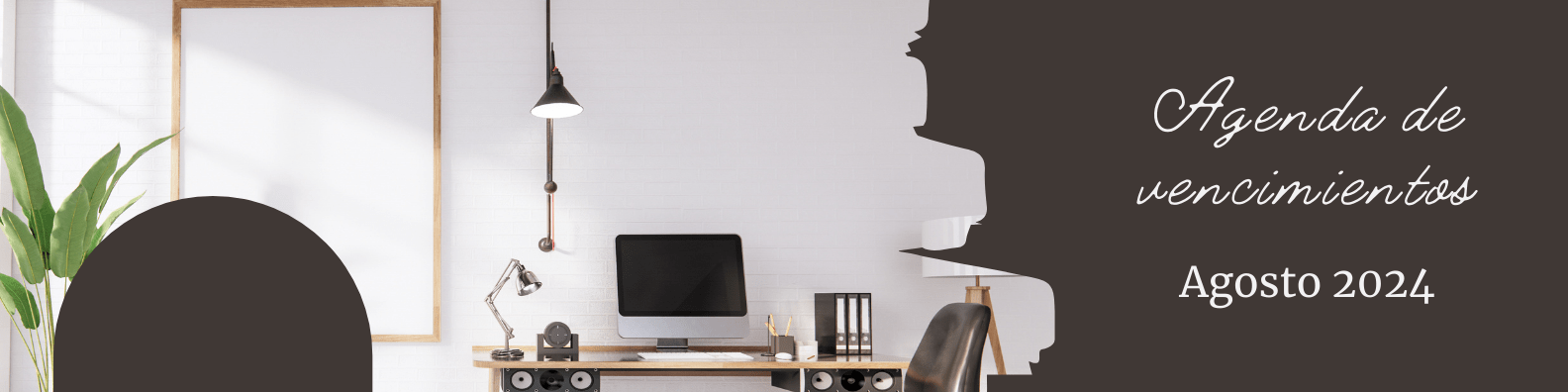 vencimientos afip agosto 2024